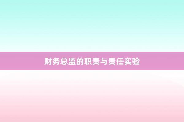 财务总监的职责与责任实验